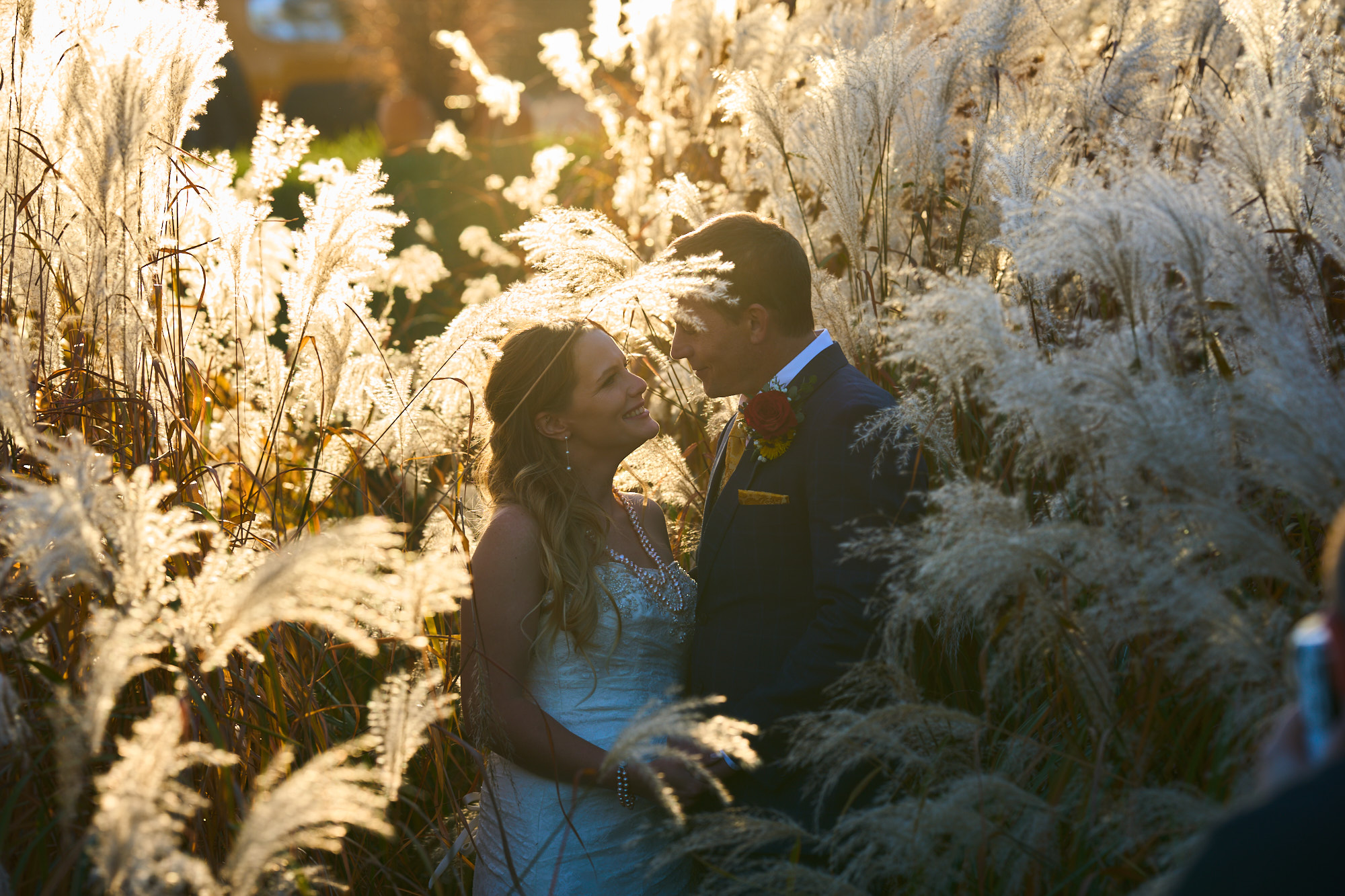 Wedding couple sunset portrait Wisconsin